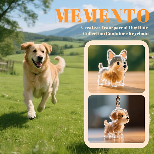 Llavero Creativo Transparente para Recuerdos de Pelo de Mascota