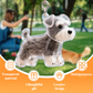 Llavero Creativo Transparente para Recuerdos de Pelo de Mascota
