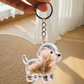 Llavero Creativo Transparente para Recuerdos de Pelo de Mascota