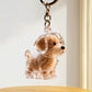 Llavero Creativo Transparente para Recuerdos de Pelo de Mascota