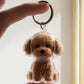 Llavero Creativo Transparente para Recuerdos de Pelo de Mascota